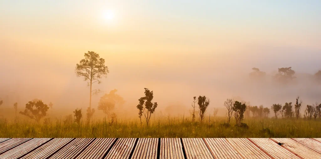 A calm sunrise scene viewed from a quiet outdoor space