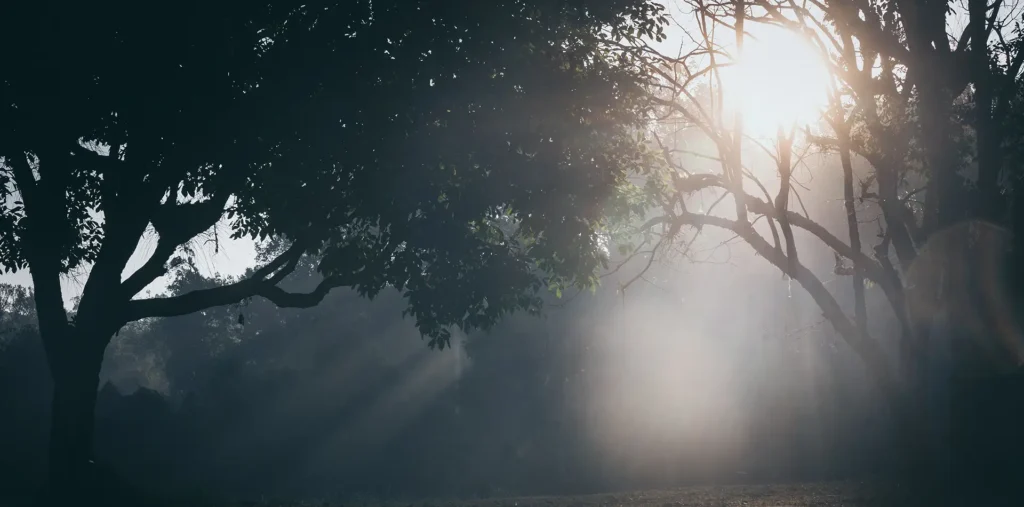 A peaceful natural scene symbolizing love, peace, and personal freedom