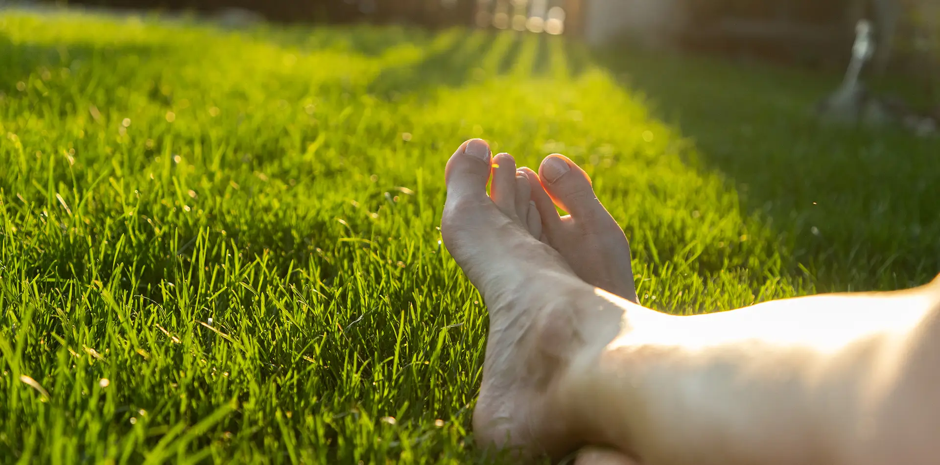 A person stands barefoot on lush green grass, symbolizing the connection between the physical body and the Earth's energy.