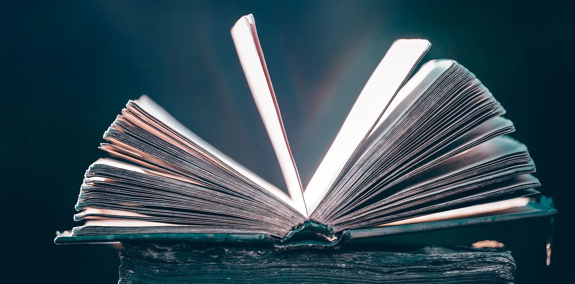 An open book glowing with light representing the wisdom of Divine Grace and spiritual scriptures.