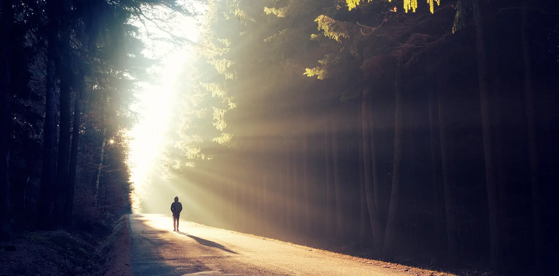 Person walking along a sunlit forest path at golden sunrise symbolizing divine guidance and the spiritual journey of life
