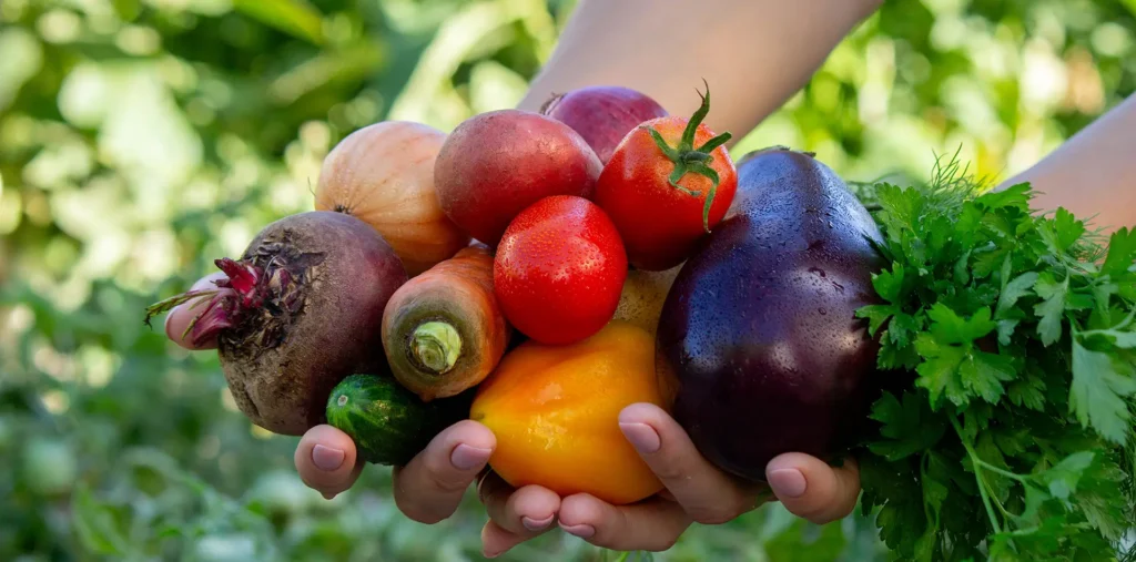 Hands holding fresh harvest of vegetables and fruits symbolizing gratitude for earthly nourishment and spiritual growth