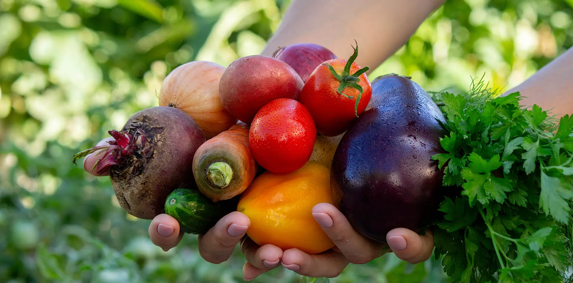 Hands holding fresh harvest of vegetables and fruits symbolizing gratitude for earthly nourishment and spiritual growth
