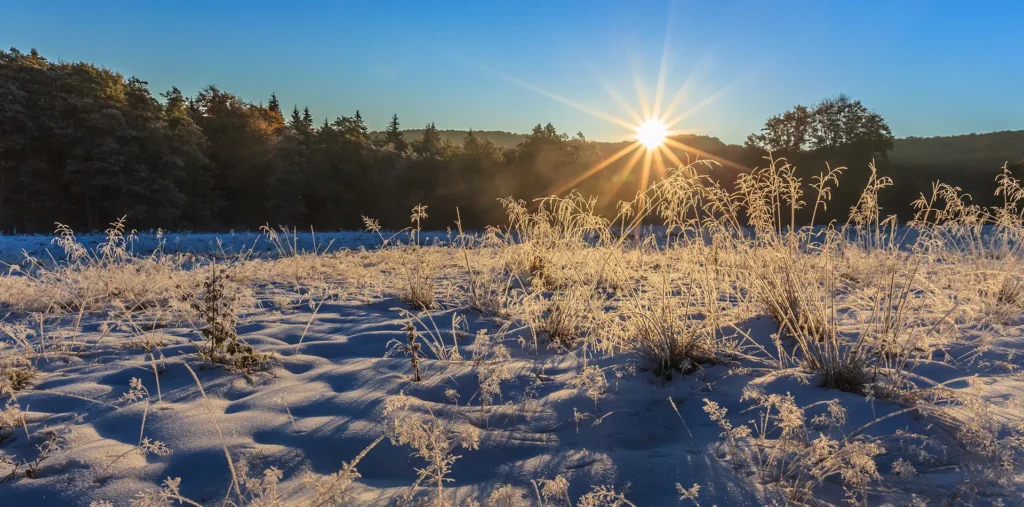 Peaceful snowy winter landscape at golden sunrise symbolizing gratitude for the seasons and the promise of new beginnings