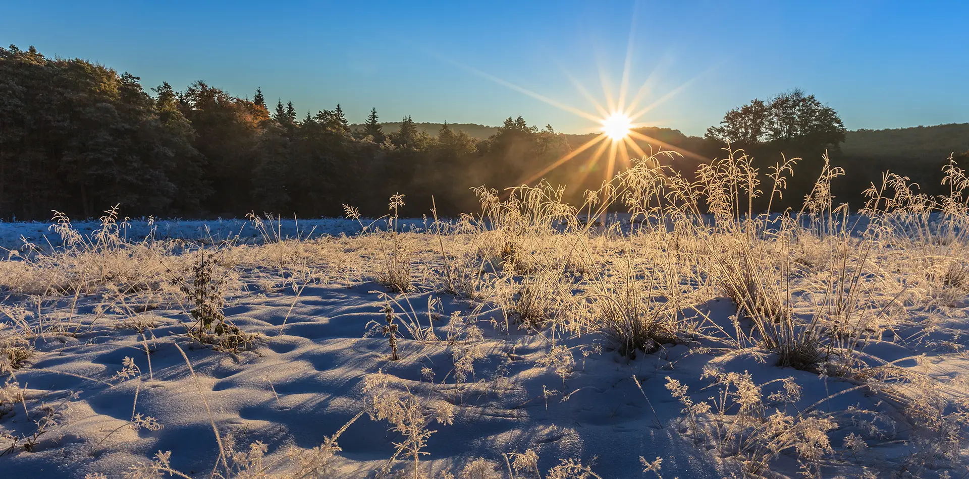 Peaceful snowy winter landscape at golden sunrise symbolizing gratitude for the seasons and the promise of new beginnings