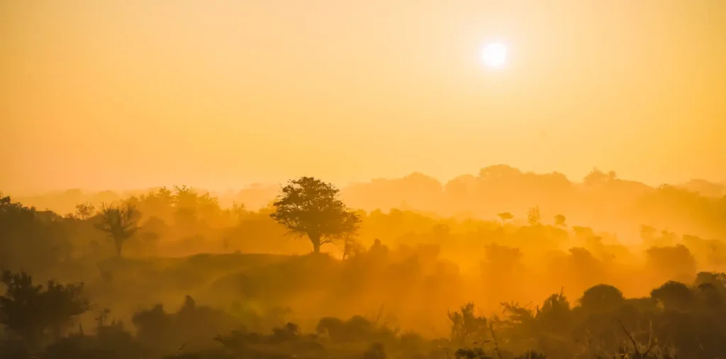 Golden sunrise spreading light across a peaceful misty landscape, symbolizing the direct experience of divine energy in nature