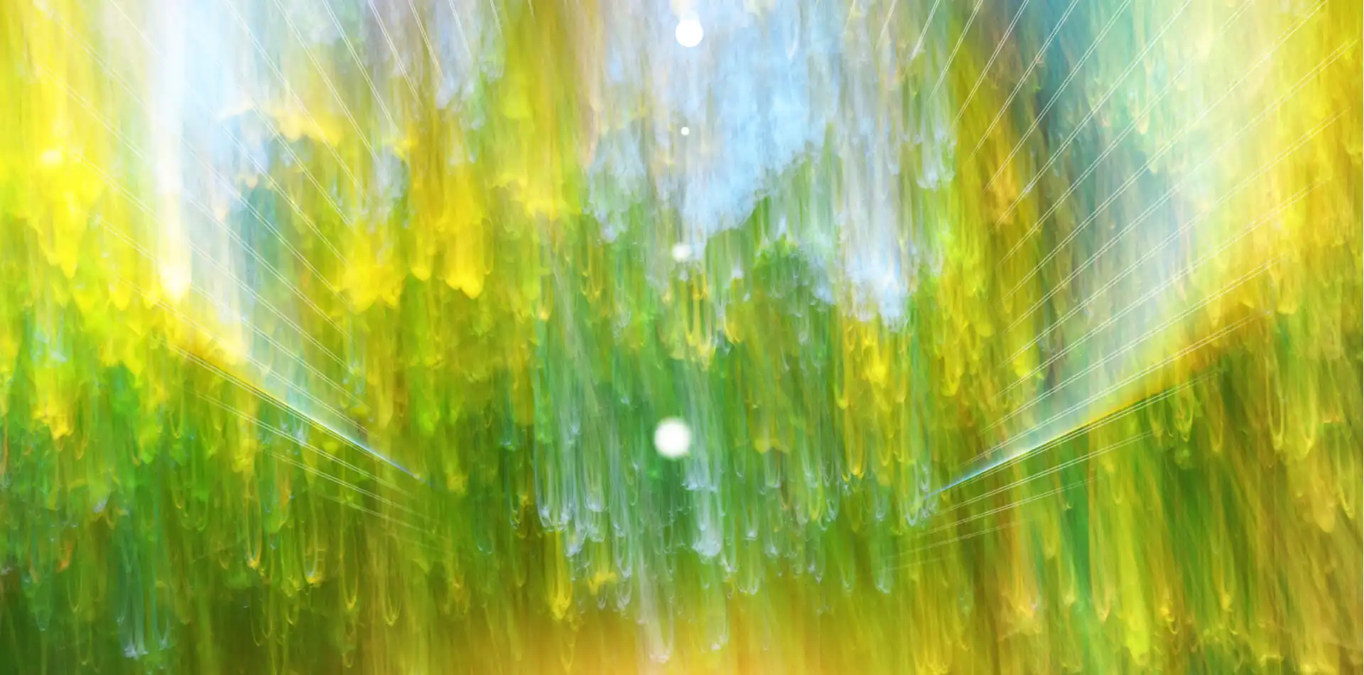 Glowing energy field representing consciousness and the presence of light within all living things