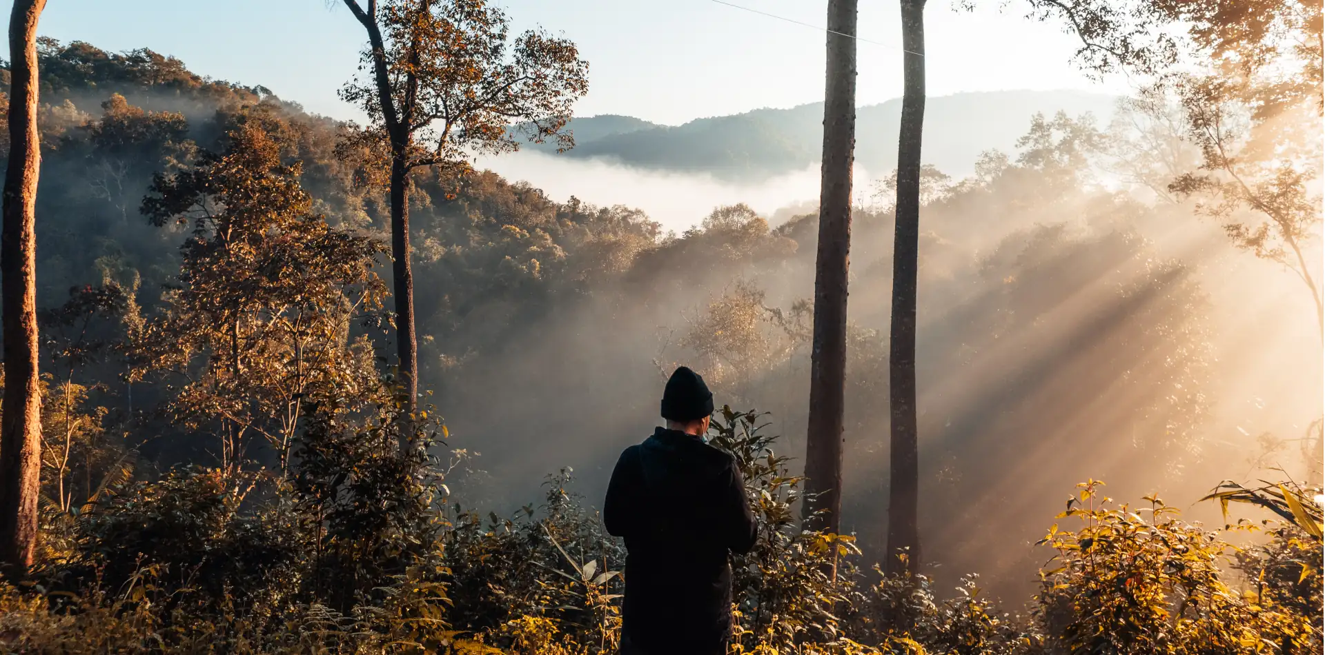 Person standing in sunlit forest with eyes closed and open hands, experiencing stillness and spiritual presence