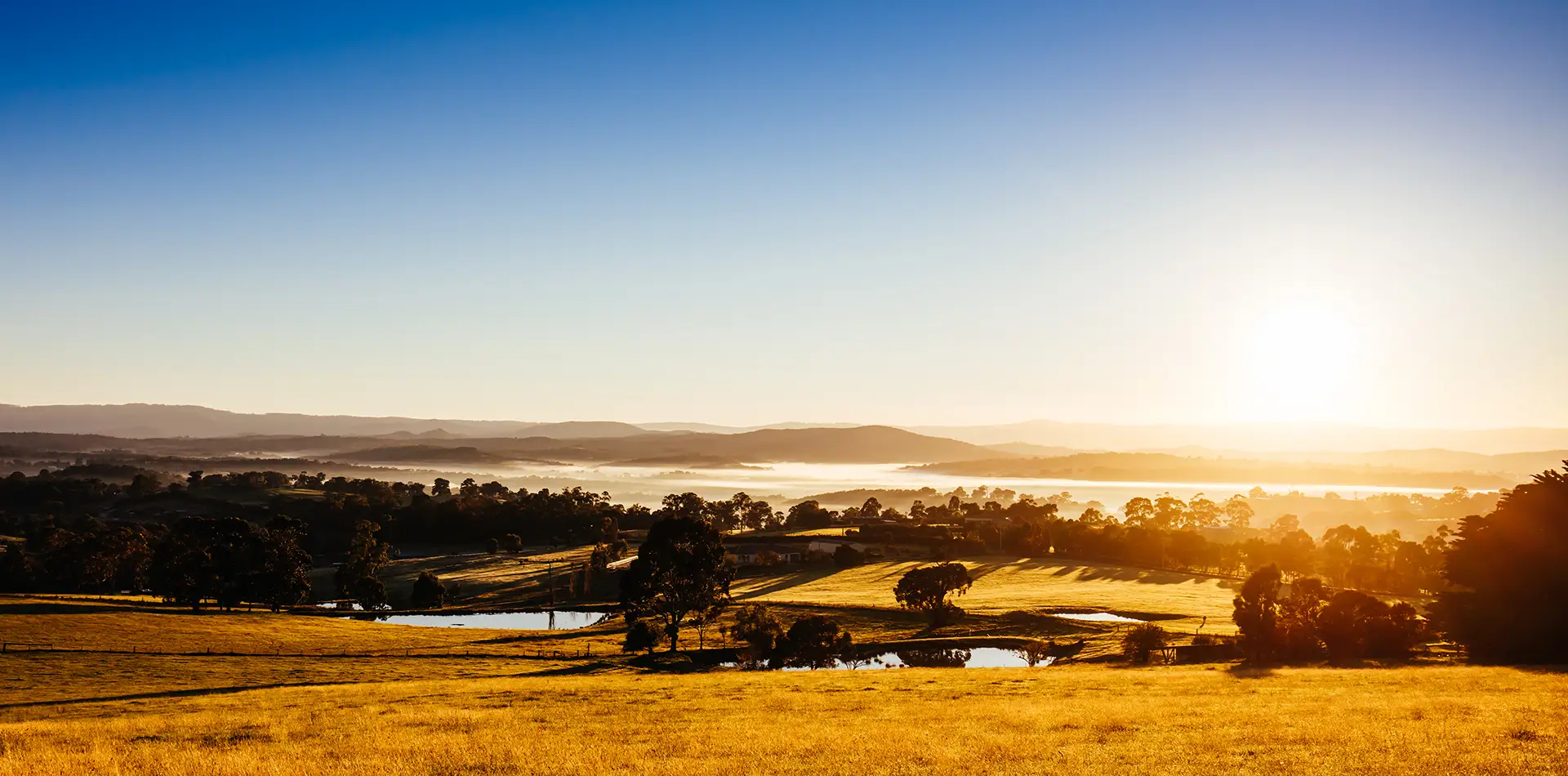 Soft golden sunrise over a peaceful open field at dawn