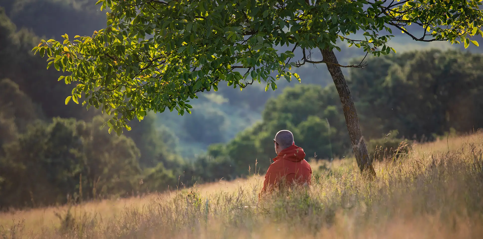 An older person sitting peacefully outdoors, gazing into the distance in soft natural light