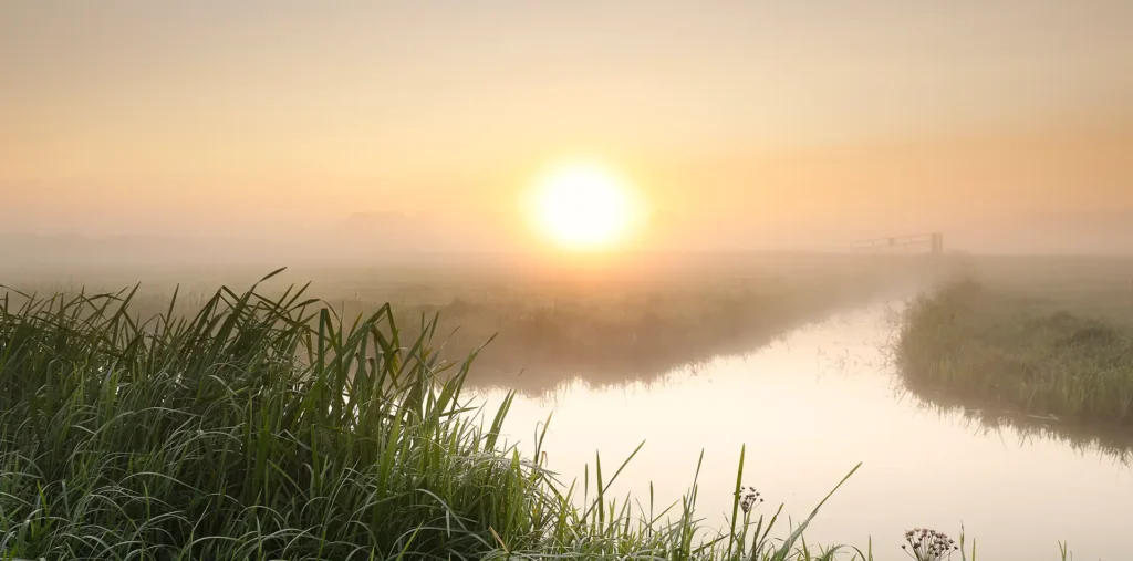 An older adult sitting peacefully outdoors in the morning, reflecting with a sense of calm and purpose