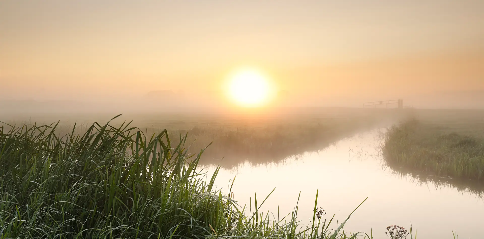 An older adult sitting peacefully outdoors in the morning, reflecting with a sense of calm and purpose