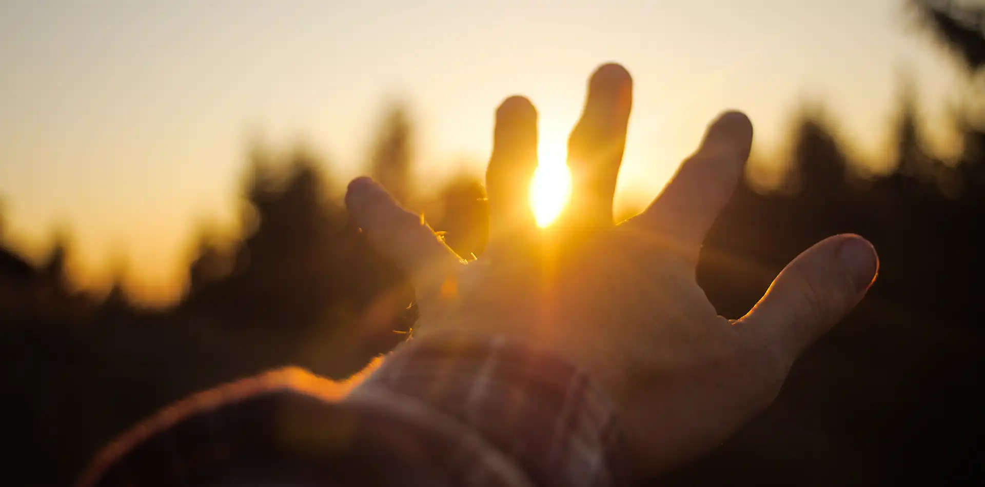 Soft golden light emanating from open hands representing spiritual blessing and positive energy