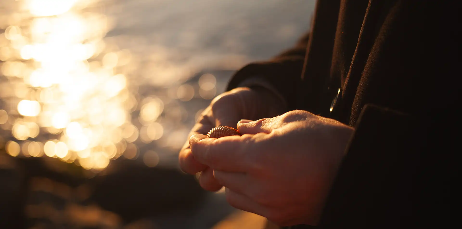Weathered open hands catching soft sunset light, a quiet image reflecting on love and dying, acceptance, and inner peace.