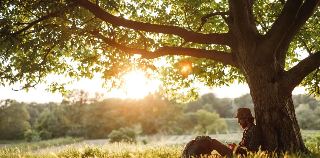 An older person sitting quietly in nature at sunrise, reflecting on the magic of life