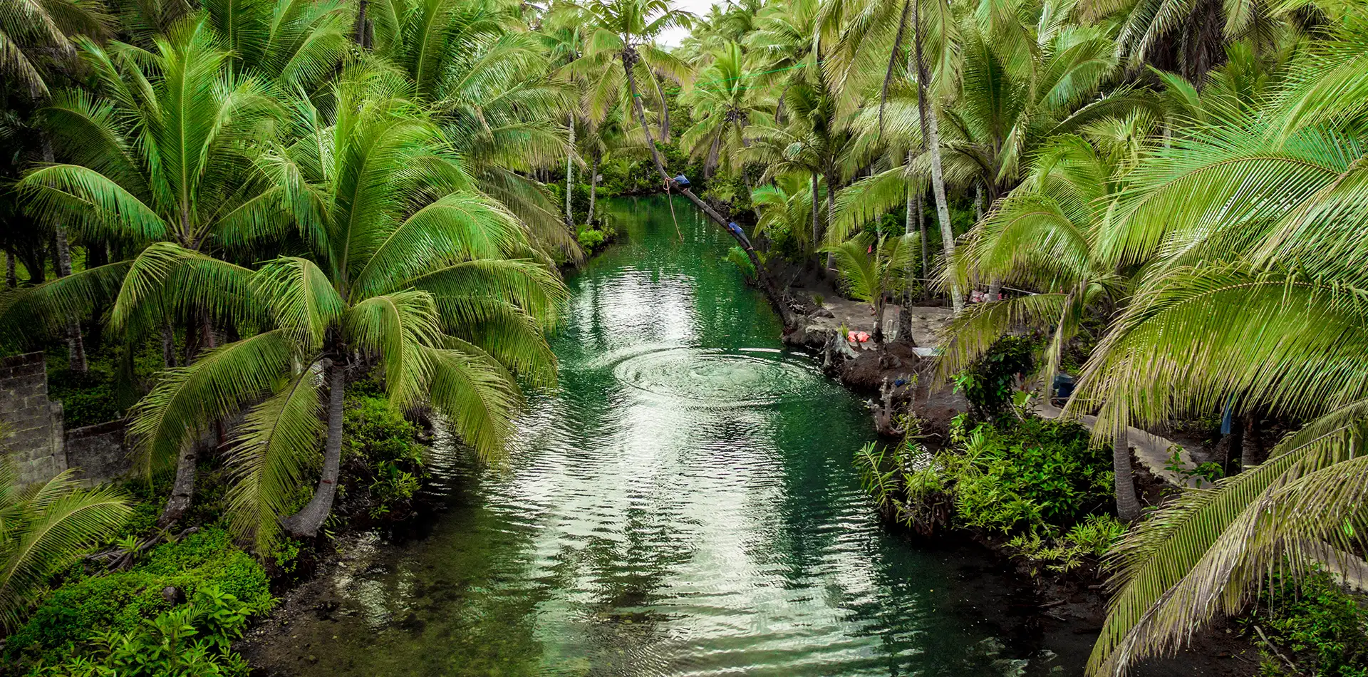 Clear river flowing into the ocean among palm trees, evoking presence and quiet harmony with nature