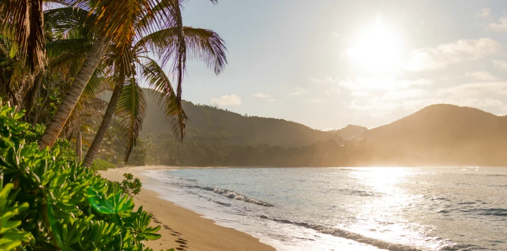 Soft golden sunrise over a calm tropical bay with green foliage and still water