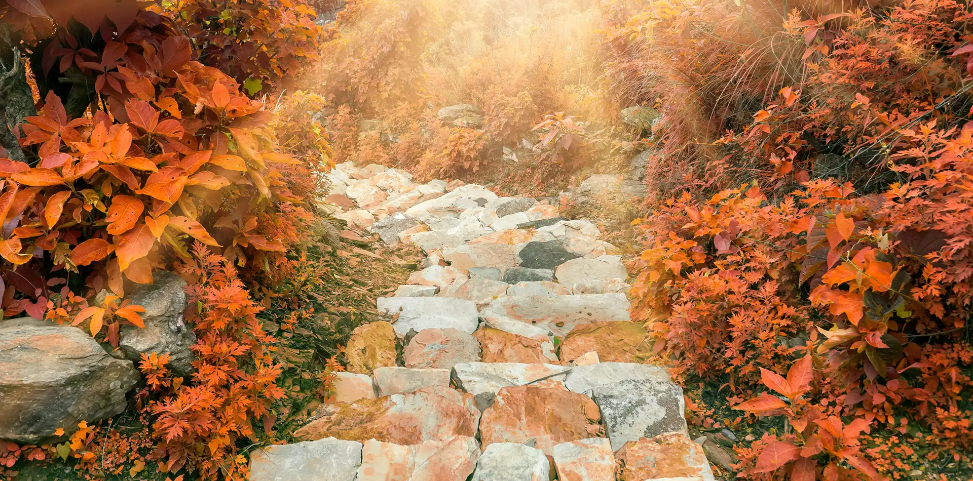 Golden light streaming through clouds onto a quiet garden path with stone steps