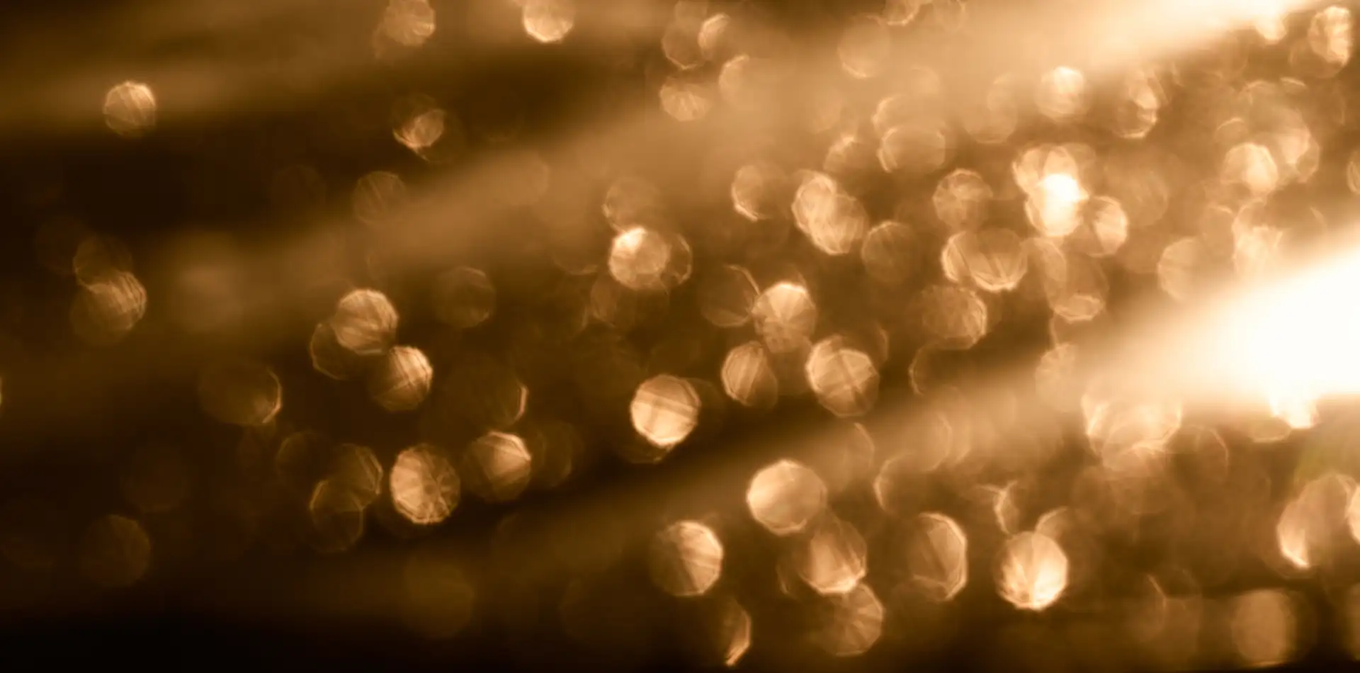 Glowing golden orbs of light rising through a dark ethereal space representing souls in the spiritual world