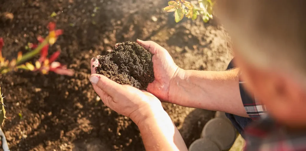 Older hands working garden soil in warm light, reflecting how aging deepens awareness of energy and presence