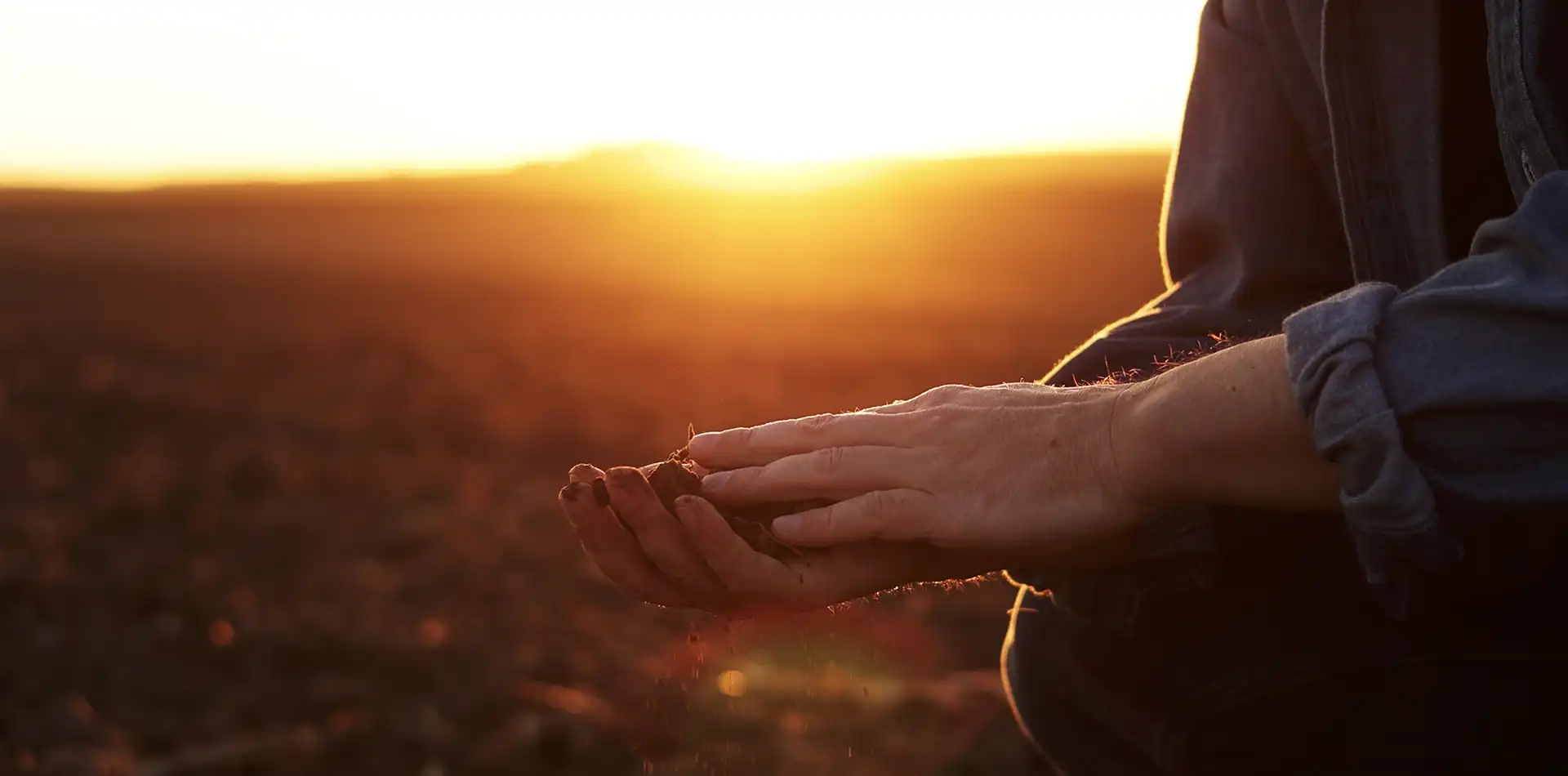 Person sitting upright in calm meditation practicing deep conscious breathing at sunrise