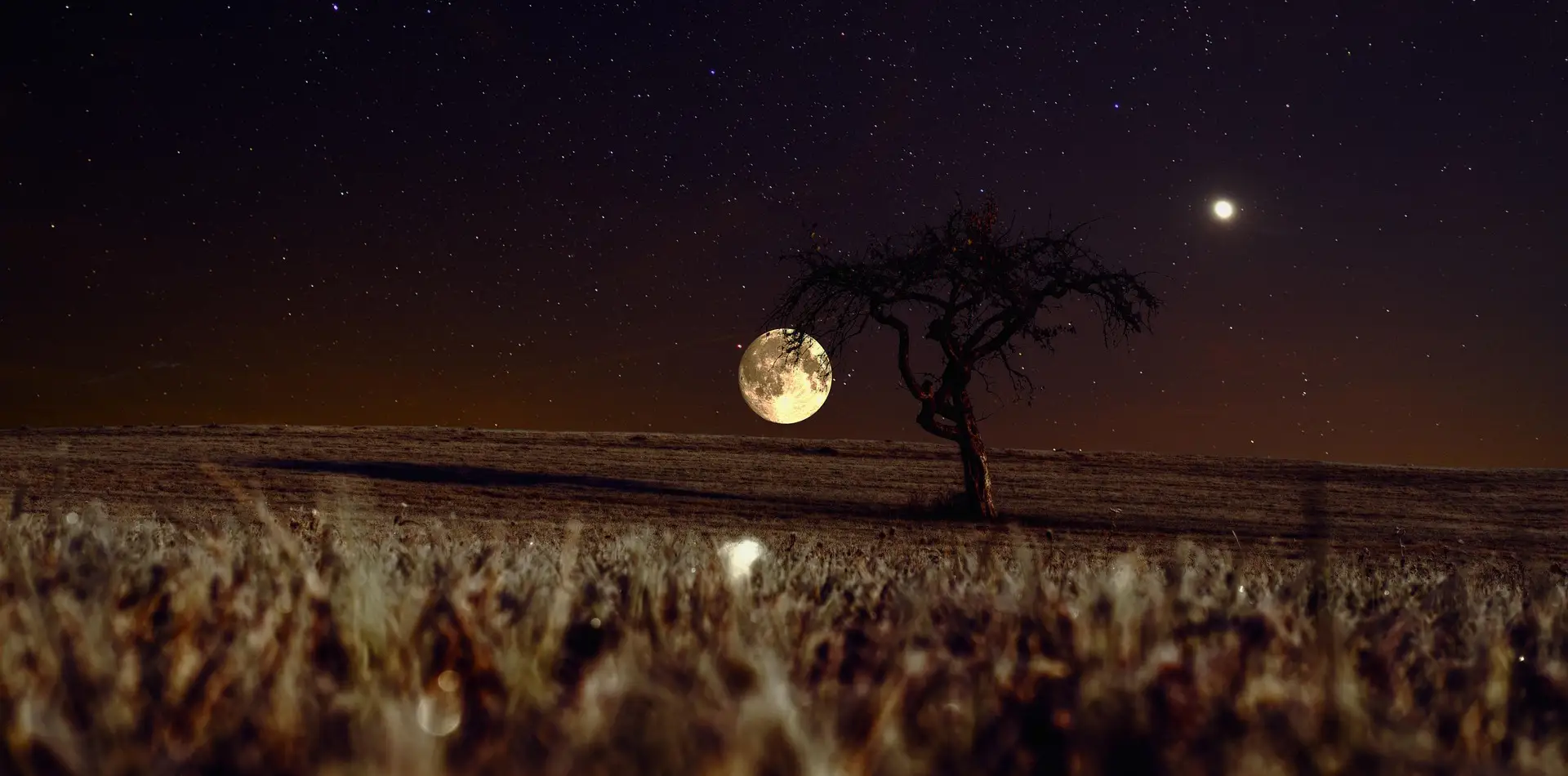 A bright full moon shining over a calm night sky with soft clouds
