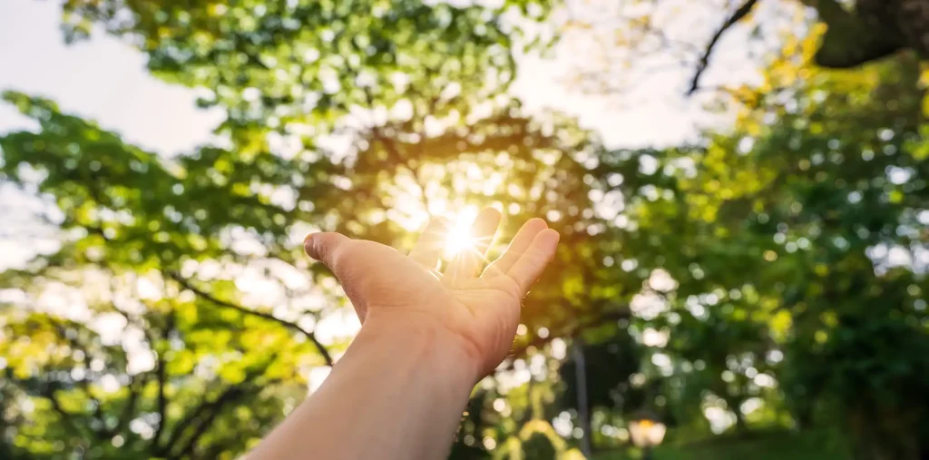 Open hands reaching toward soft morning sunlight in a tranquil garden, evoking gratitude and peace