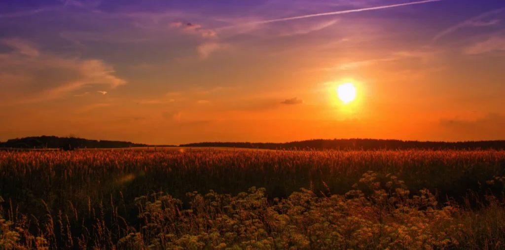 Golden sunset and a rising moon over a quiet meadow at dusk