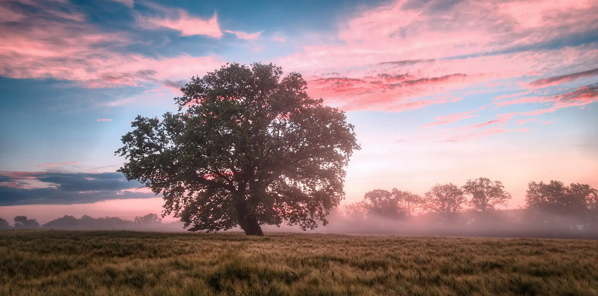 Bare feet resting on dewy green grass as the morning sun rises over an open horizon