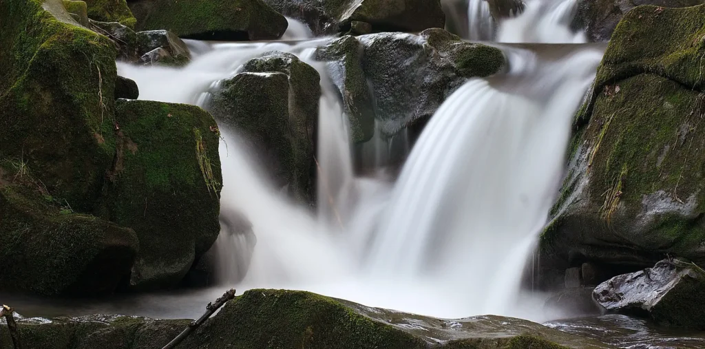 A clear stream flowing over rocks through a green forest in soft morning light
