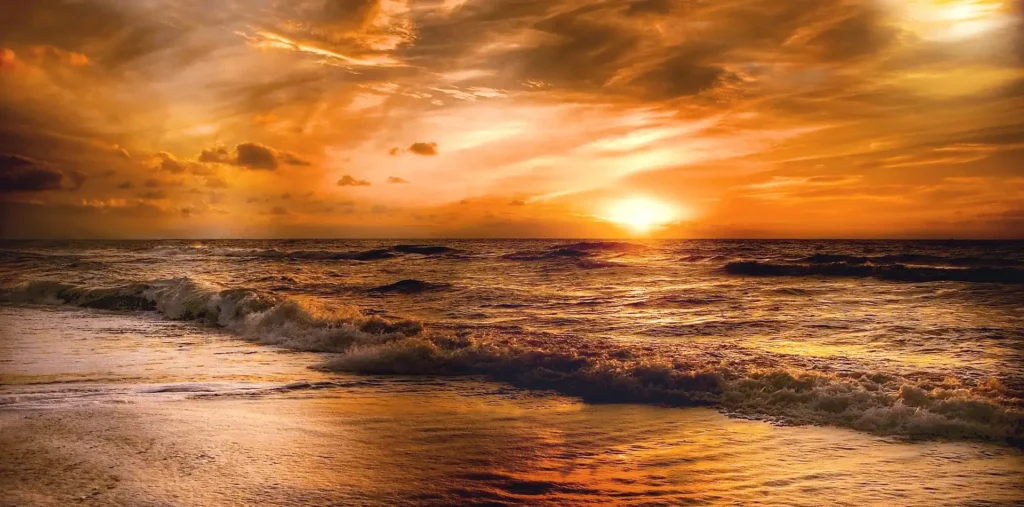 Soft golden sunrise light spreading across a calm ocean horizon, reflecting the function of love and the oneness shared by all