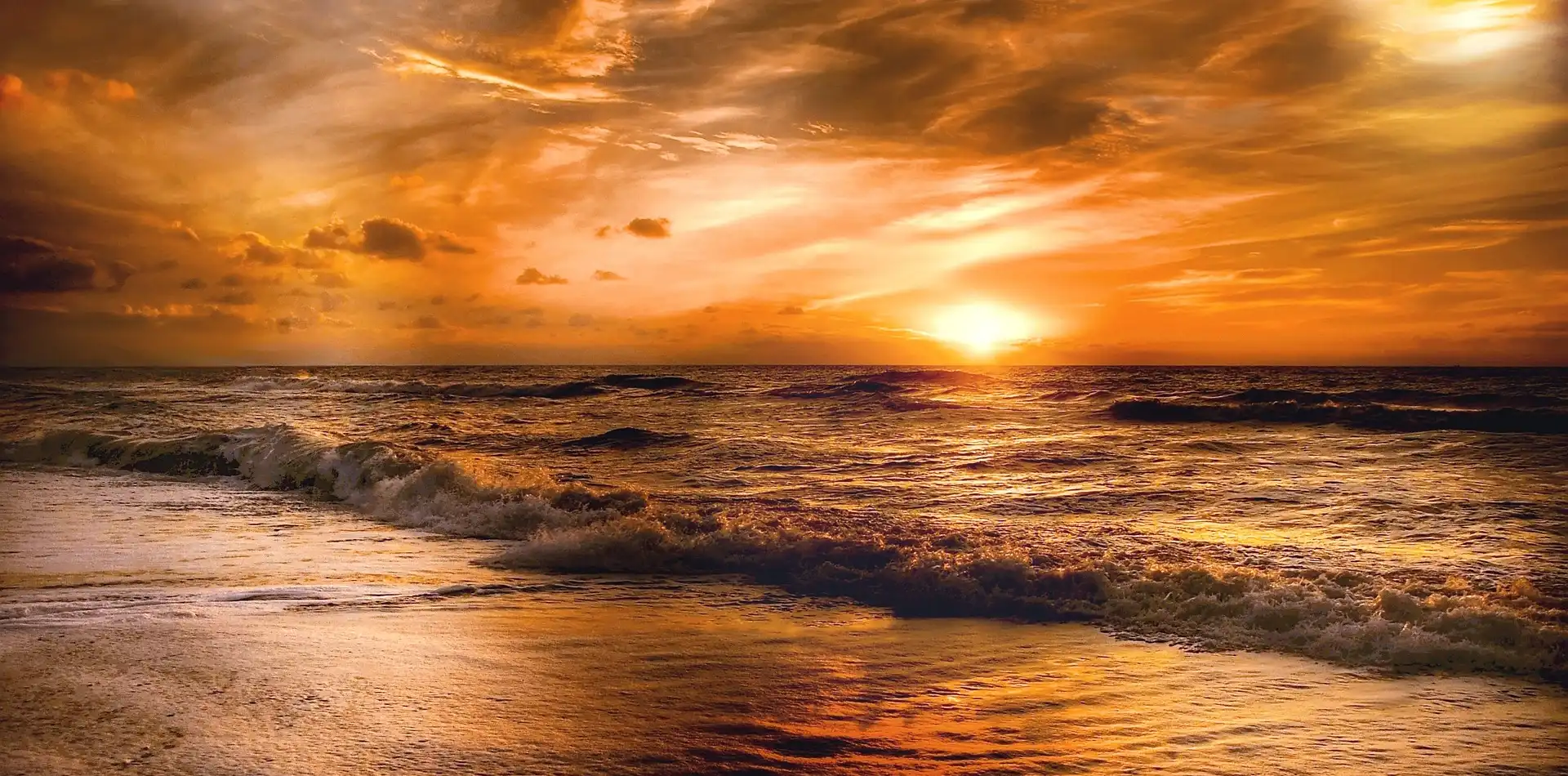 Soft golden sunrise light spreading across a calm ocean horizon, reflecting the function of love and the oneness shared by all