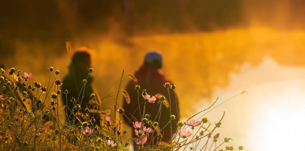 Person meditating at sunrise with a warm golden glow radiating from the chest, symbolizing SOL energy, love, light and life