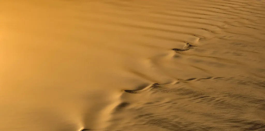 Soft golden sunlight shining across gentle ocean waves at dawn