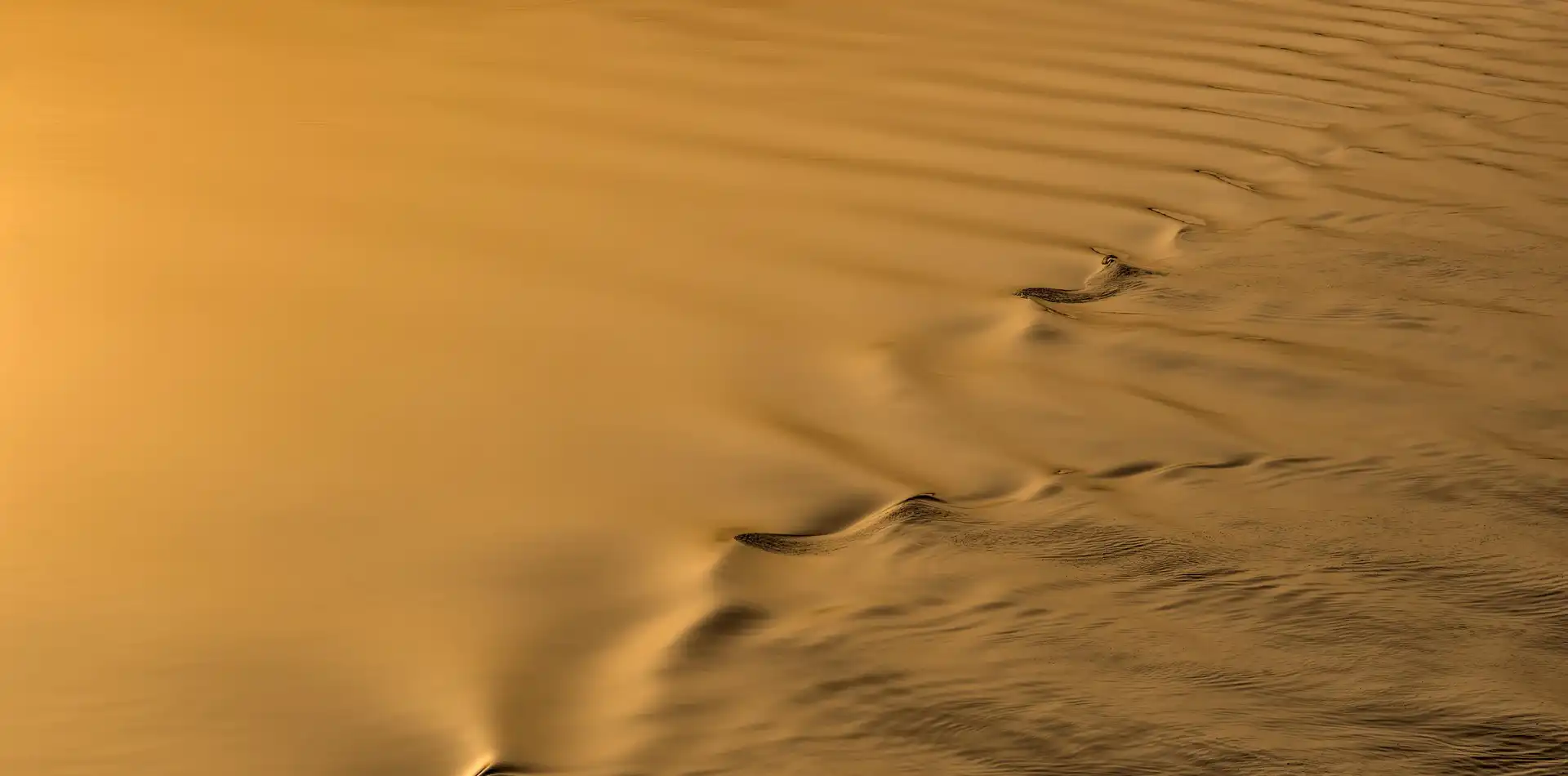 Soft golden sunlight shining across gentle ocean waves at dawn