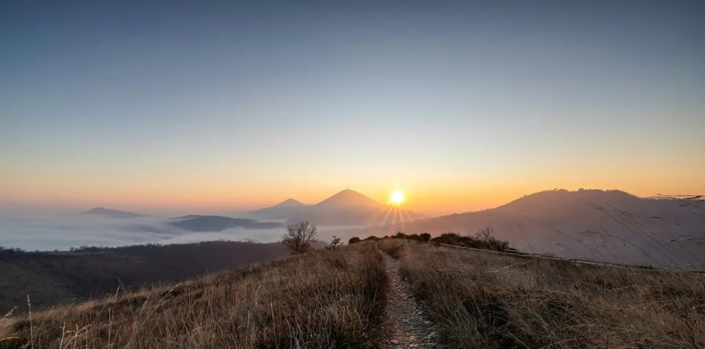 Warm golden light rising over a winding path through a peaceful misty landscape